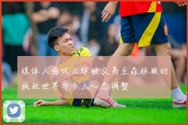 媒体人感叹三球被交易至森林狼的疯狂世界与个人心态调整