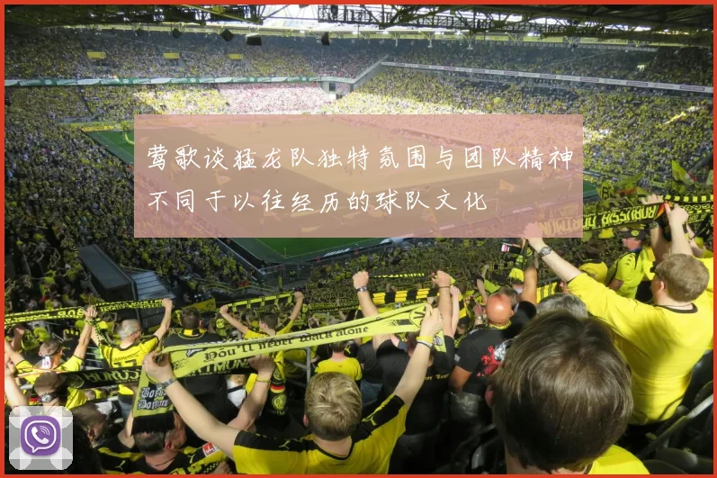 莺歌谈猛龙队独特氛围与团队精神不同于以往经历的球队文化